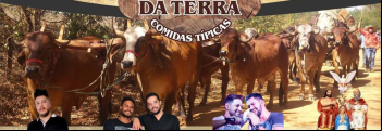Romaria dos Carreiros de Damolndia